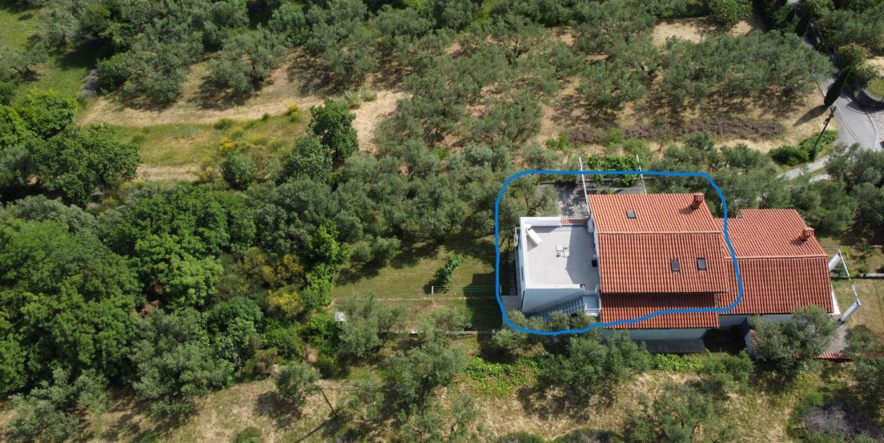 House Among Olive Trees With A Sea View 1 Apartment Ankaran Ngoại thất bức ảnh